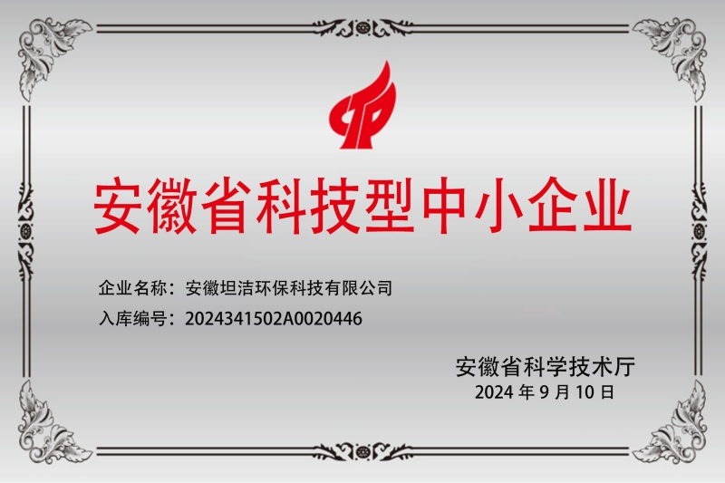 大庆安徽科技型中小企业证书